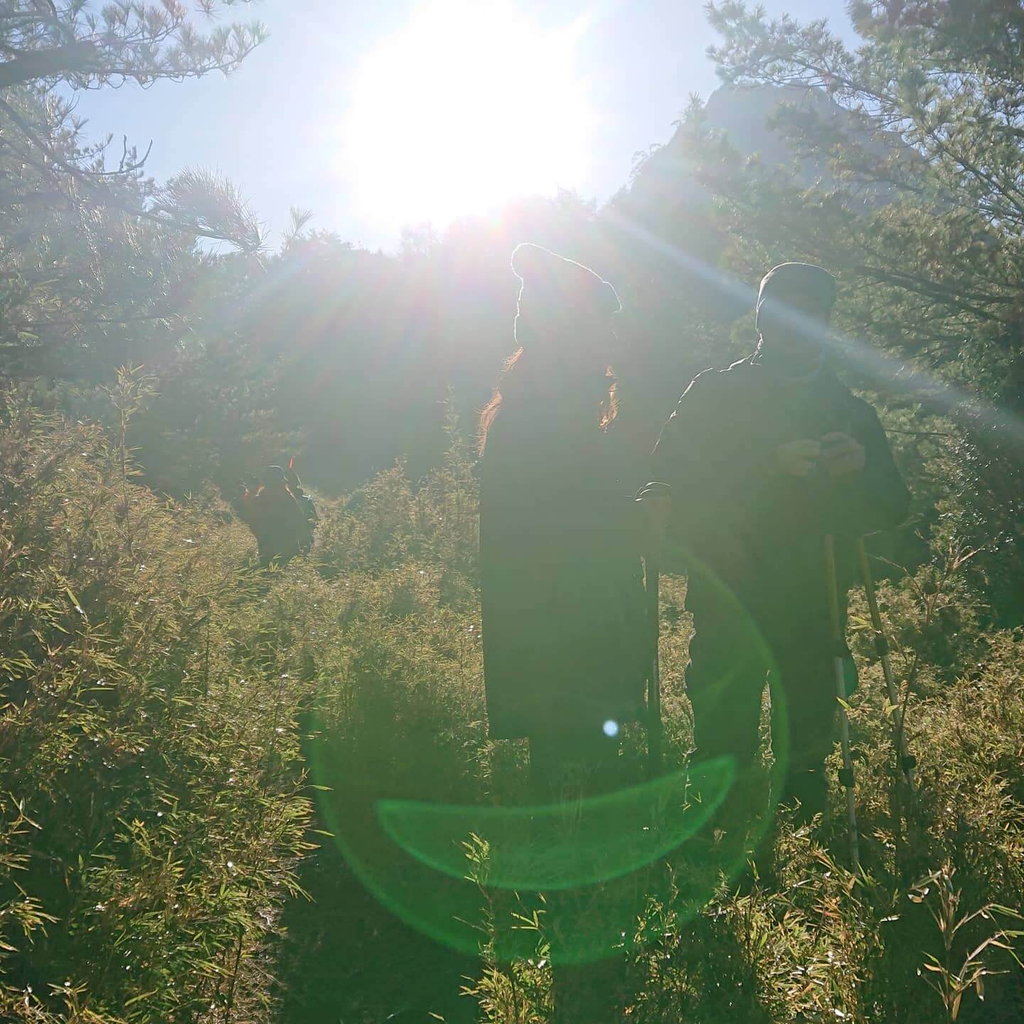 放閃的生蠔情侶(物理