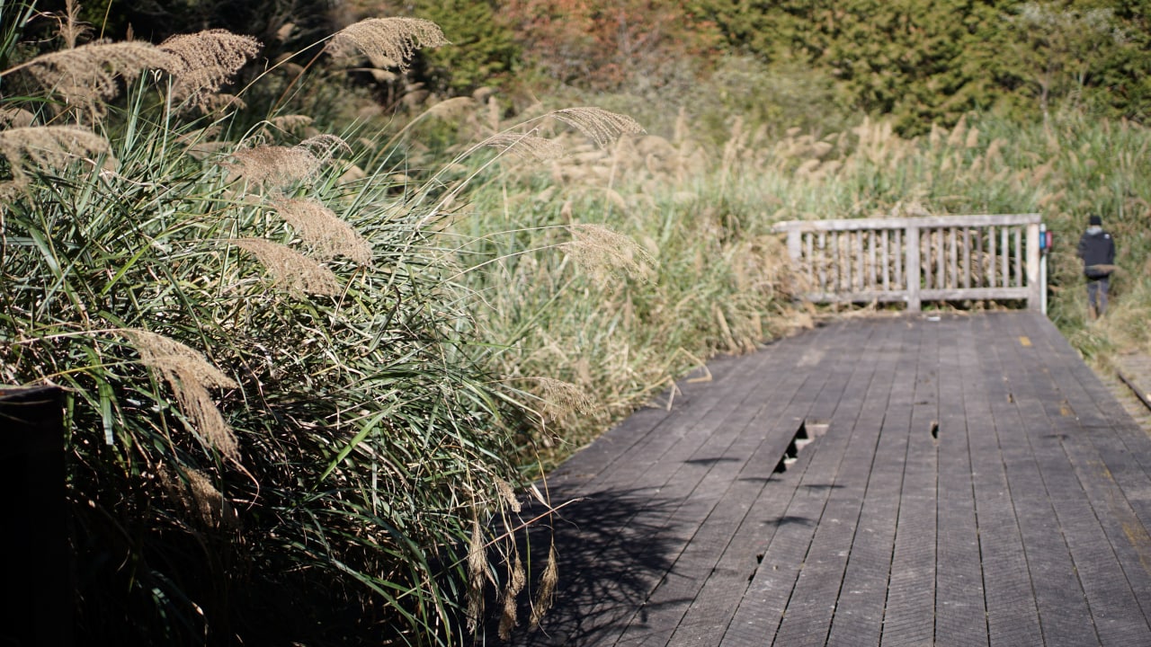 眠月線－早上的塔山車站